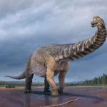 Descubren los restos del dinosaurio más grande de Australia ciencia, australia, descubrimiento, dinosaurio, caracteristicas