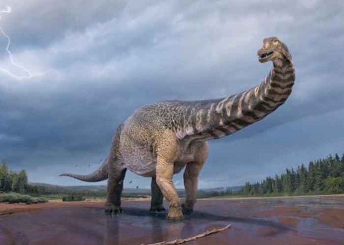 1.3 ciencia, australia, descubrimiento, dinosaurio, caracteristicas