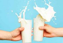 ¿Sabía que hoy es el Día Mundial de la Leche? salud, leche, dia mundial, beneficios, vitaminas