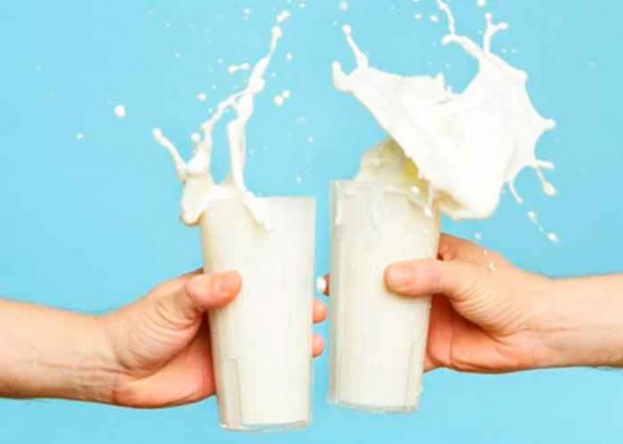 salud, leche, dia mundial, beneficios, vitaminas