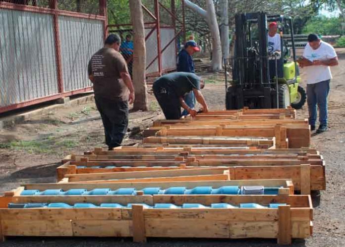 nicaragua, enacal, plan invierno, motores, inversion