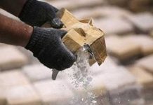 Decomisan dos toneladas de cocaína en Colombia