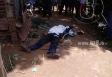 Trabajador perece al caer de un árbol