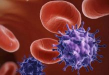 Logran erradicar el VIH por medio de un tratamiento experimental
