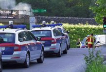 Austria: Balacera en concierto al aire libre deja 2 muertos