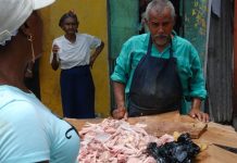 Cargamento de pollos putrefactos desata alteraciones en Sierra Leona
