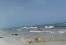 Hallan más de 100 cuerpos en Libia tras naufragio