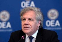 Opinión: Los amagos de Almugre en contra de Nicaragua nicaragua, luis almagro, opinion, oea, imperialismo