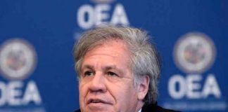nicaragua, luis almagro, opinion, oea, imperialismo