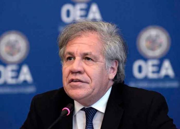 nicaragua, luis almagro, opinion, oea, imperialismo