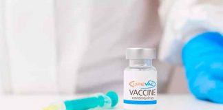 salud, vacuna curevac, eficacia, coronavirus, estudios