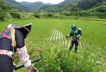 Japón tiene un superhéroe con una misión muy clara: plantar arroz
