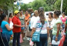 Intensa jornada contra el mosquito