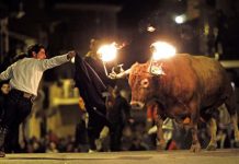 España: Valencia prohíbe las corridas de toros embolados