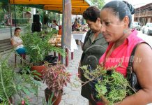 Feria de las Plantas Ornamentales en celebración al Día mundial del Ambiente
