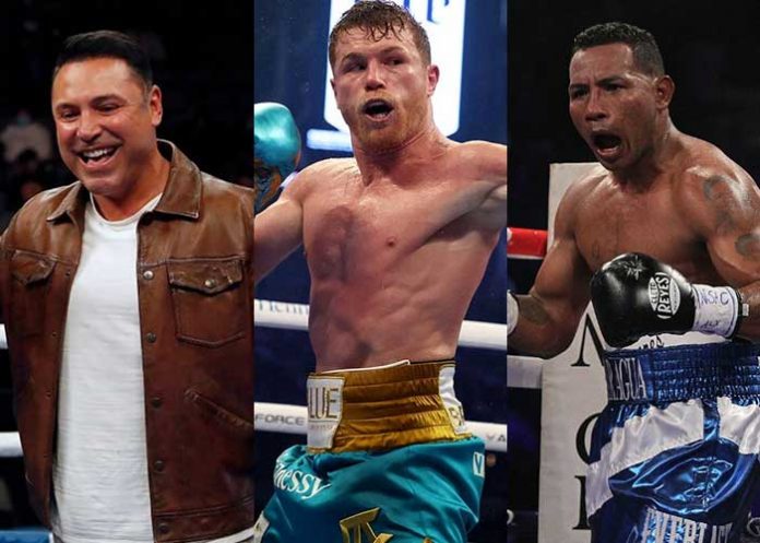 Canelo hoya, mayorga, ricardo, canelo