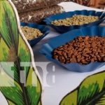Nicaragua rompe récord en Subasta Internacional del Café Nicaragua, nueva segovia, Subasta Internacional del Café, record