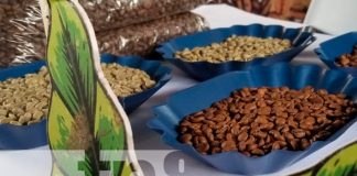 Nicaragua, nueva segovia, Subasta Internacional del Café, record