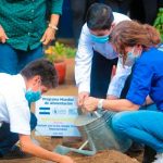 nicaragua, managua, arboles, pma,