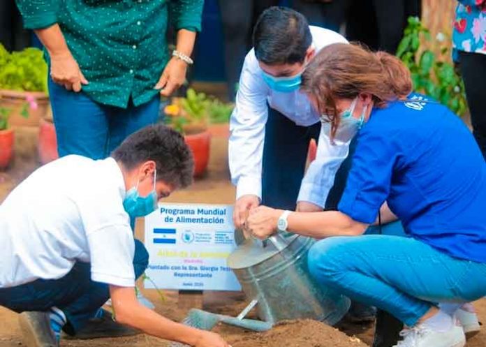 2 nicaragua, managua, arboles, pma,