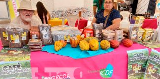 nicaragua, jinotega, mefcca, expoferia,