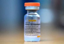 La OMS aprueba uso de emergencia de la vacuna china anticovid Sinovac salud, oms, covid-19, vacuna sinovac, aprobacion