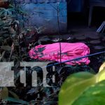 Hombre perece electrocutado mientras se disponía a cortar aguacates en Managua Nicaragua, managua, hombre, electrocutado, aguacates,