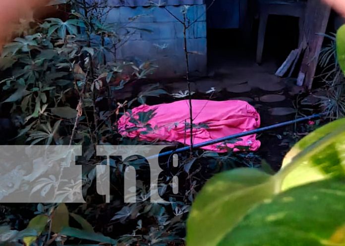 Nicaragua, managua, hombre, electrocutado, aguacates,