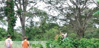 desaparecidos, volcán madera, nicaragua, isla de ometepe,