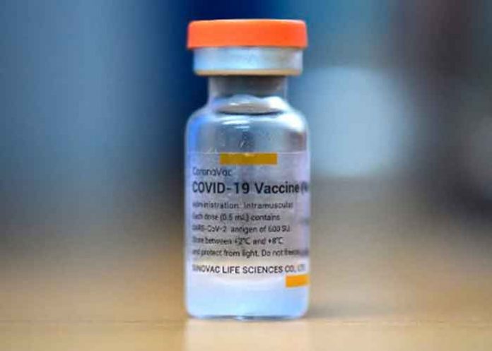 salud, oms, covid-19, vacuna sinovac, aprobacion