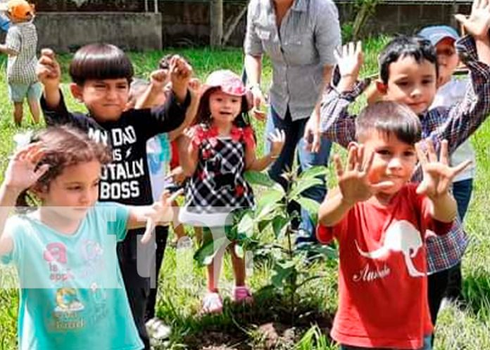 4 nicaragua, matiguas, dia del arbol, reforestacion,