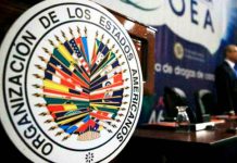 OEA, la nada cósmica nicaragua, gobierno, politica, oea, injerencia