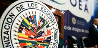 nicaragua, gobierno, politica, oea, injerencia