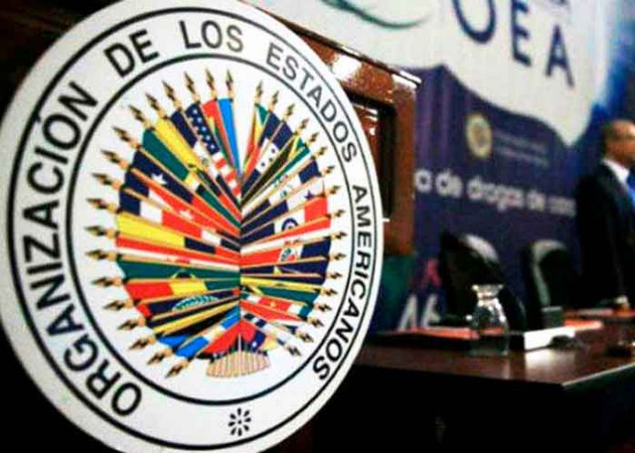 nicaragua, gobierno, politica, oea, injerencia