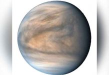 La falta de agua hace imposible la vida en Venus, según estudio ciencia, estudio, venus, atmosfera, falta de agua
