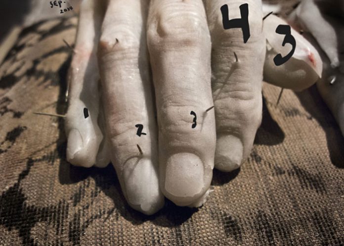 43