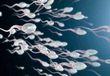 ¿Sabías que las mutaciones en un gen del esperma provocan fallos en la fecundación? salud, esperma, infertilidad masculina, mutaciones, metodos