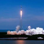 Calamares viajan hacia la Estación Espacial Internacional para un experimento ciencia, spacex, estacion espacial, calamares, espacio