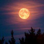 ciencia, fenomenos astronomicos, eclipse, superluna, fechas