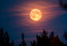 ciencia, fenomenos astronomicos, eclipse, superluna, fechas