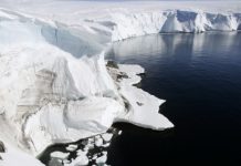 Mapa interactivo: preocupante derretimiento del hielo ártico en los últimos 15 años