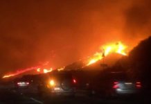 Voraz incendio causa evacuación y cierre de una carretera en el sur de California