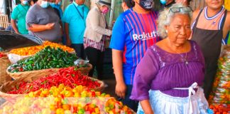 nicaragua, precios solidarios, día del padre , mercados de Managua,
