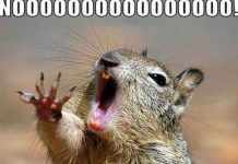 Twitter explotó con memes por la salida del Reino Unido