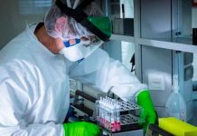 Científicos calculan el peso de todo el SARS-CoV-2 acumulado en el mundo ciencia, estudio cientifico, calculo, sarscov2, particulas