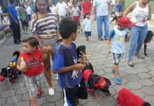 Palacagüina: desfile canino en celebración de fiestas patronales