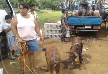 Entregan BPA en Distrito V de Managua