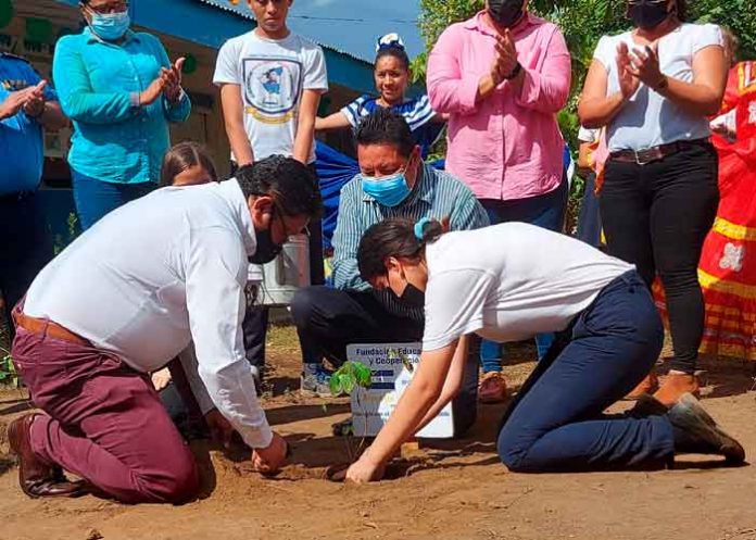 nicaragua, mined, siembra de arboles, mined, centros educativos