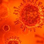 salud, oms, mundo, variante delta plus, coronavirus