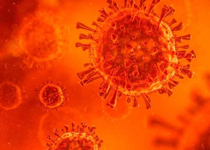 salud, oms, mundo, variante delta plus, coronavirus